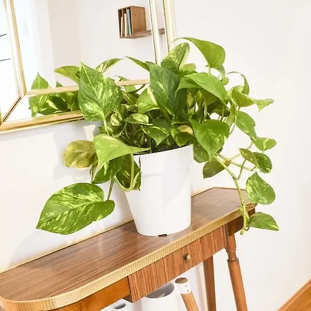 Apartment Letmalaga Carreteria